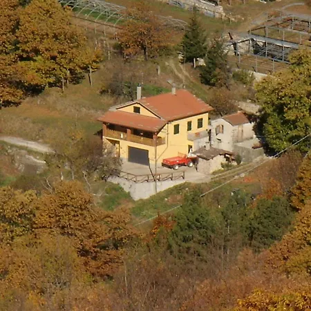 Prato Fiorito *